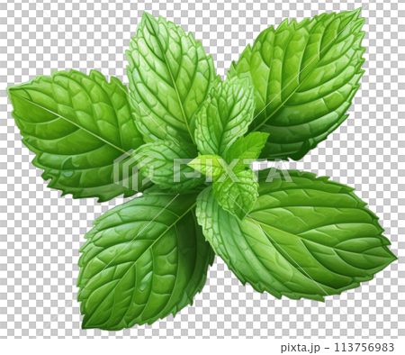 mint 113756983
