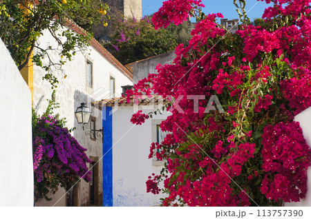 Medieval Buildings and Bougainvillea Flowers in Obidos, Portugal. Medieval Buildings and Bougainvillea Flowers in Obidos, Portugal. 113757390