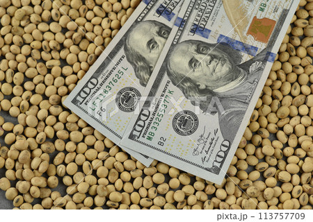Dollars banknotes and coins and soy beans,oleaginous commoditi value concept. Dollars banknotes and coins and soy beans,oleaginous commoditi value concept. 113757709