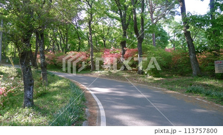 二本木峠 (埼玉県東秩父村) 二本木峠 (埼玉県東秩父村) 113757800