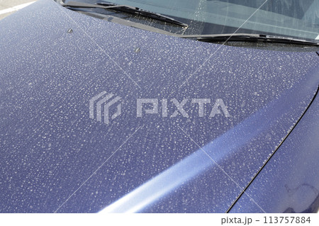 ボンネットの汚れ 自動車 113757884