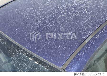 自動車の屋根の汚れ 自動車の屋根の汚れ 113757903