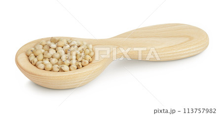 Sorghum seeds in wooden spoon isolated on white background with full depth of field. 113757982