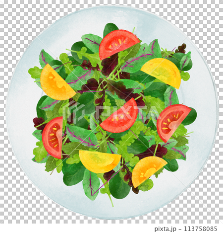 水彩畫的新鮮嬰兒葉和櫻桃番茄沙拉 113758085
