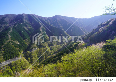 上北山村ナメゴ谷の登り龍 113758432