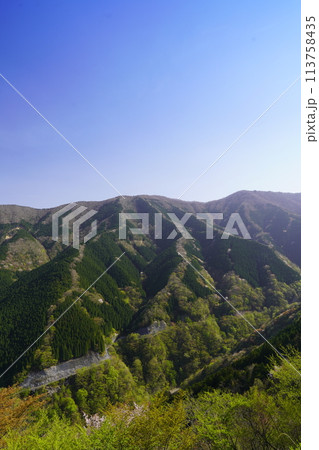 上北山村ナメゴ谷の登り龍 上北山村ナメゴ谷の登り龍 113758435