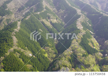 上北山村ナメゴ谷の登り龍 113758438