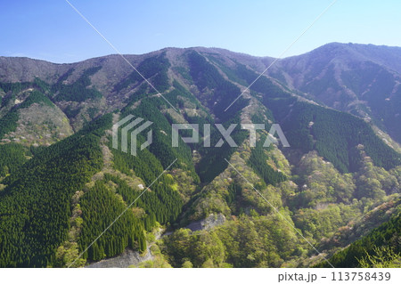 上北山村ナメゴ谷の登り龍 113758439