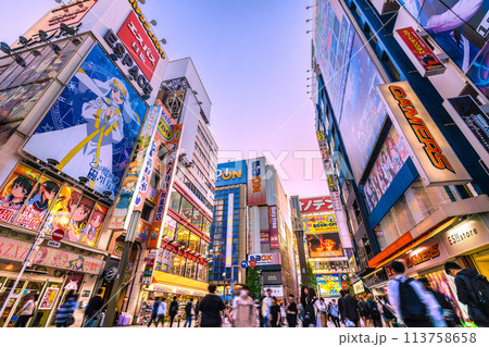 日本の東京都市景観 外国人観光客らで賑わう秋葉原などを望む。コロナ禍前と変らない光景…=19日 日本の東京都市景観 外国人観光客らで賑わう秋葉原などを望む。コロナ禍前と変らない光景…=19日 113758658