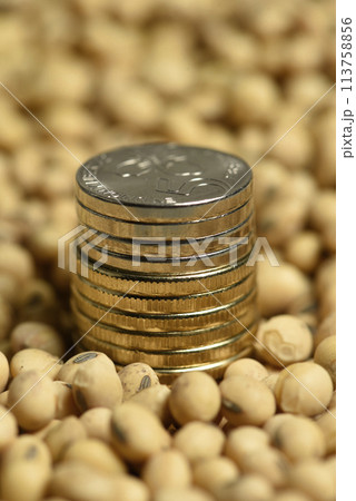 Dollars banknotes and coins and soy beans,oleaginous commoditi value concept. Dollars banknotes and coins and soy beans,oleaginous commoditi value concept. 113758856