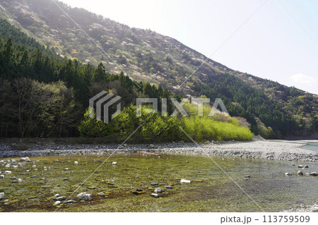 美しい川の流れ　奈良県天川村 113759509