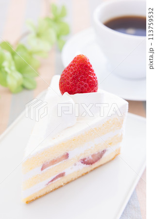 おいしいショートケーキとコーヒー 113759532