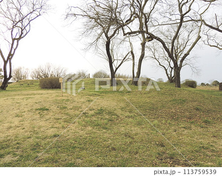 渡良瀬遊水地  谷中村史跡ゾーン 113759539