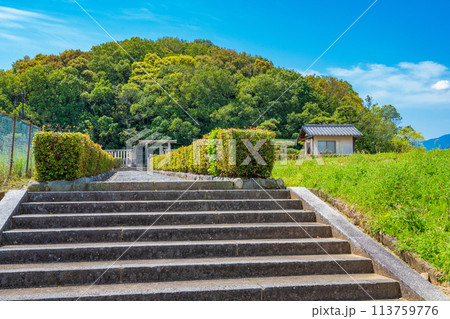奈良県橿原市　第二十八代宣化天皇　身狹桃花鳥坂上陵の参道 113759776