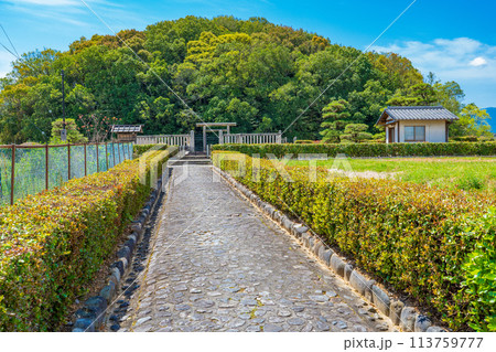 奈良県橿原市　第二十八代宣化天皇　身狹桃花鳥坂上陵の参道 113759777