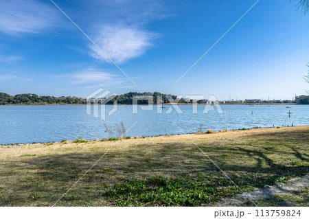 湖岸から見た佐鳴湖の風景(静岡県) 113759824