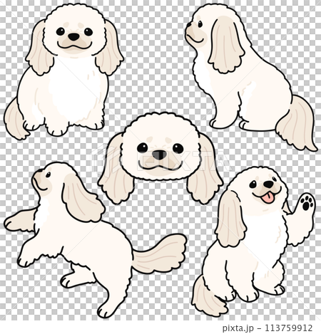 簡單可愛的白色哈巴狗插畫集，以主線為主線 113759912