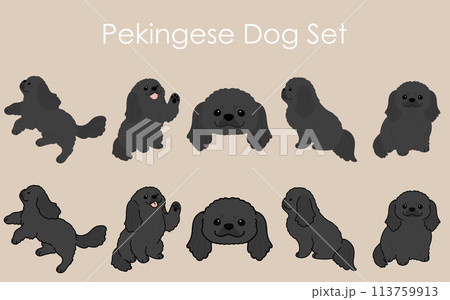 シンプルで可愛い黒いペキニーズのイラストセット 113759913
