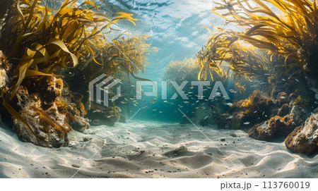 Underwater landscape with coral reef, seaweed, and fish under the sunlight 113760019