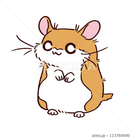 立ったゴールデンハムスターのイラスト素材 [113760090] - PIXTA
