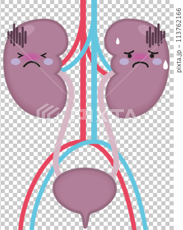 不健康な腎臓と腎臓のキャラクター 113762166