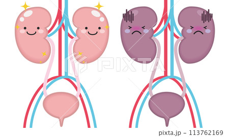 腎臓と腎臓のキャラクター 113762169