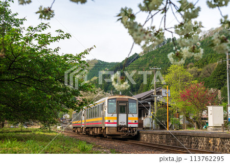 日本の岡山県新見市の岩山駅の美しい春の風景 113762295