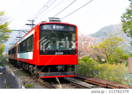 箱根登山鉄道　2000形　強羅〜箱根湯本 113762379