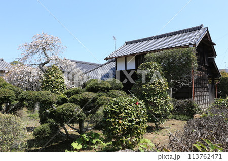 古い農家の蔵と桜 古い農家の蔵と桜 113762471