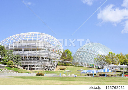 笛吹川フルーツ公園 笛吹川フルーツ公園 113762981