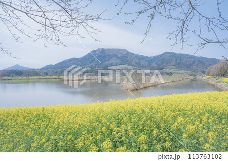 新潟　上堰潟公園（新潟市） 113763102