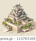日本の城　天守閣　イラスト 113763169
