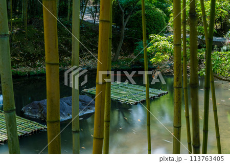 京都府八幡市松花堂公園の緑眩しい新緑を撮影 113763405