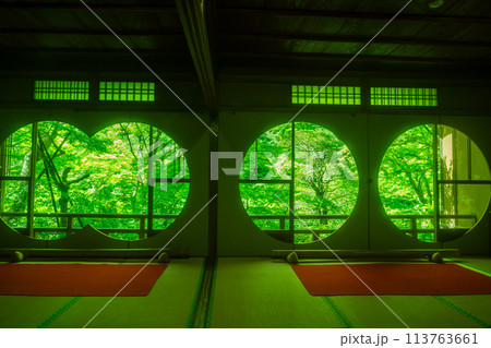 京都市右京区緑眩しい初夏の嵐山祐斎亭新緑を撮影 113763661