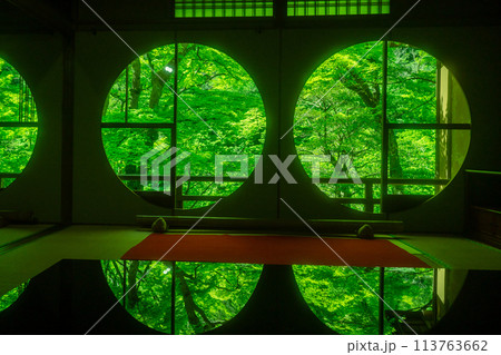 京都市右京区緑眩しい初夏の嵐山祐斎亭新緑を撮影 113763662