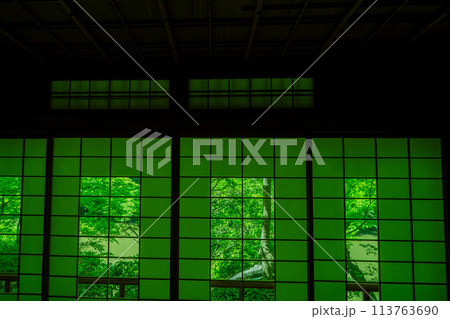 京都市右京区緑眩しい初夏の嵐山祐斎亭新緑を撮影 113763690