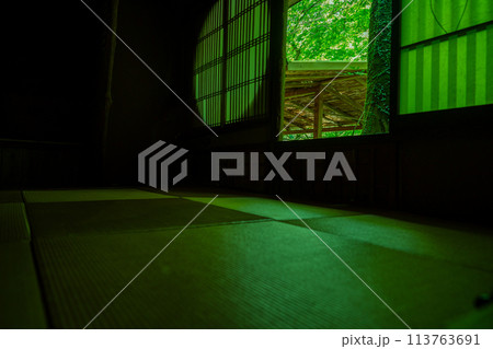 京都市右京区緑眩しい初夏の嵐山祐斎亭新緑を撮影 113763691