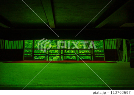 京都市右京区緑眩しい初夏の嵐山祐斎亭新緑を撮影 京都市右京区緑眩しい初夏の嵐山祐斎亭新緑を撮影 113763697