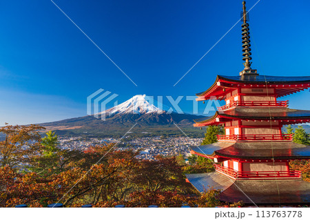 《山梨県》朝日を浴びる、新倉山浅間公園の桜紅葉・忠霊塔・新雪富士 《山梨県》朝日を浴びる、新倉山浅間公園の桜紅葉・忠霊塔・新雪富士 113763778