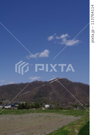 信州 安曇野 桜の名所 光城山の桜並木 麓から山頂に向かって桜が咲き誇る 信州 安曇野 桜の名所 光城山の桜並木 麓から山頂に向かって桜が咲き誇る 113764114