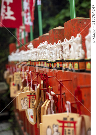 鎌倉244　佐助稲荷神社3 113764247