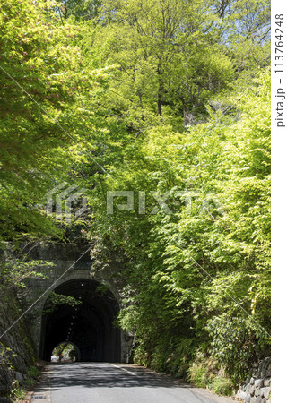 鎌倉244 佐助稲荷神社4 鎌倉244 佐助稲荷神社4 113764248