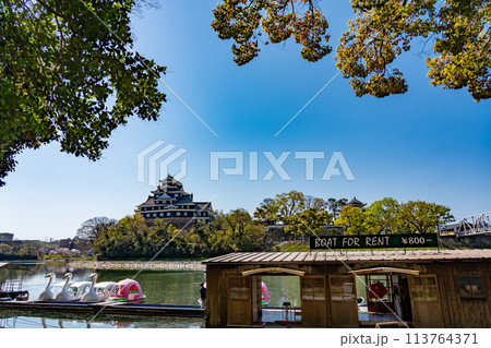 岡山県　お堀側から見た岡山城と白鳥ボートと桃ボートの乗り場 113764371