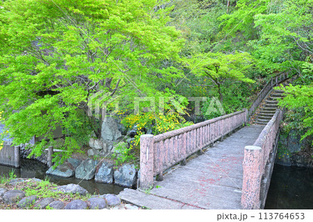 史跡　山吹の里歴史公園　水辺　越生町　　　 113764653