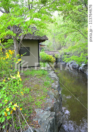 史跡　山吹の里歴史公園　水辺　越生町　　　 113764676