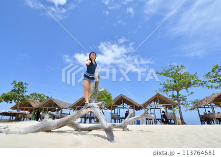 ビーチで遊ぶ女の子（フィリピン、パンダノン島） 113764681