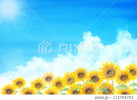 水彩で描いた入道雲とひまわり畑 水彩で描いた入道雲とひまわり畑 113764783