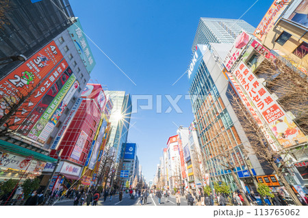 「東京都」秋葉原の電気街・歩行者天国 113765062
