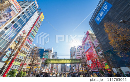 「東京都」秋葉原の電気街・歩行者天国 113765063