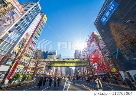 「東京都」秋葉原の電気街・歩行者天国 「東京都」秋葉原の電気街・歩行者天国 113765064
